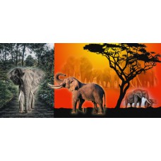 TRI-INSPIRAZION GREETING CARD Elephants on Parade